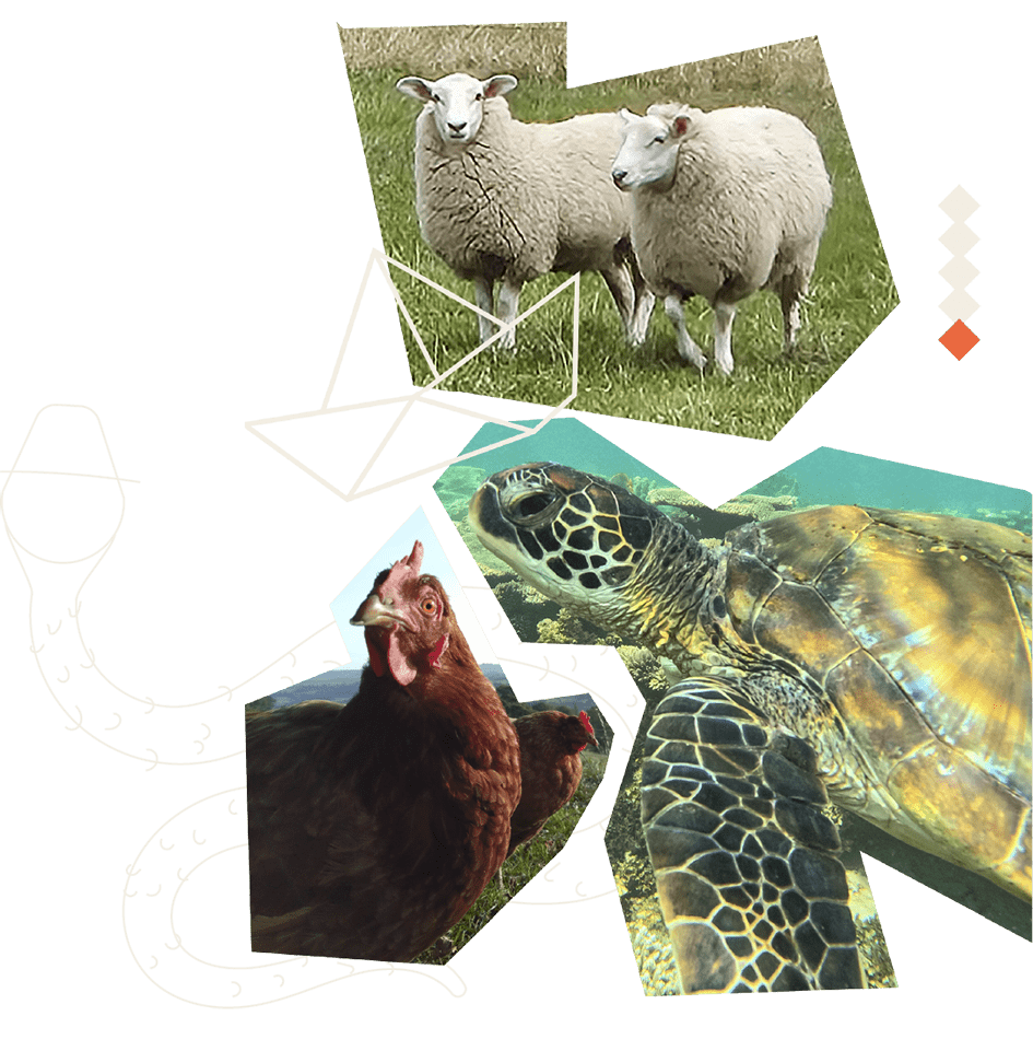 filosofía-animales